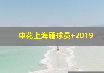 申花上海籍球员 2019